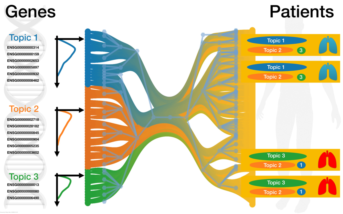 Topic modeling